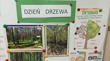 Światowy Dzień Drzewa